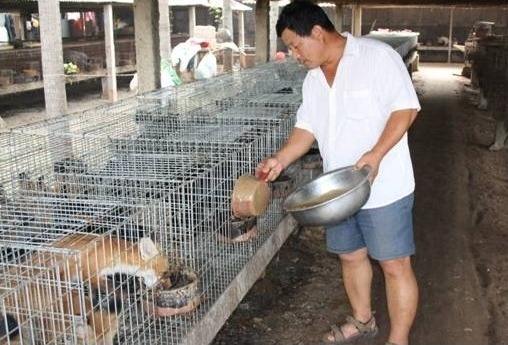 應用案例