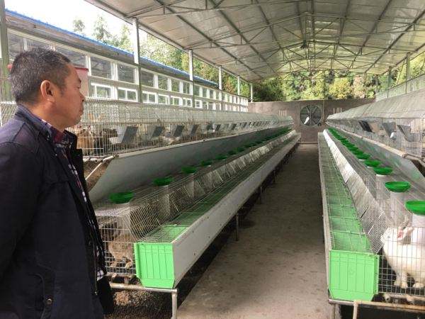 應用案例